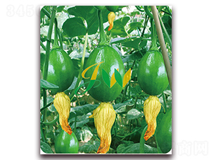 �����-�ϹϷN��-�I(y��ng)�ھ���