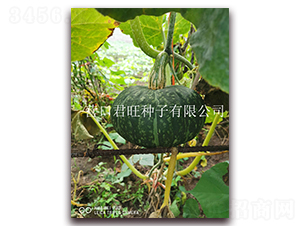 ����-�ϹϷN��-�I(y��ng)�ھ���