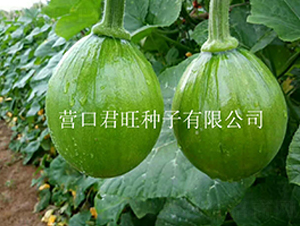 �n��(gu��)����-�ϹϷN��-�I(y��ng)�ھ���