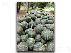 ��������-�ϹϷN��-�I�ھ���