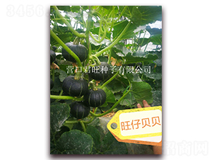 ����ؐؐ-�ϹϷN��-�I�ھ���