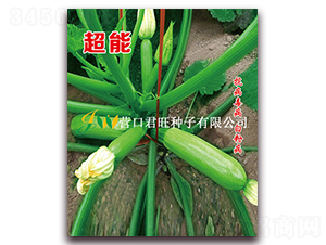 ����-�����J�N��-�I�ھ���