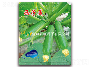 ������-�����J�N��-�I�ھ���