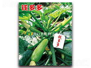 �X���-�����J�N��-�I�ھ���