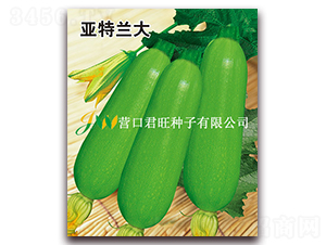 �����m��-�����J�N��-�I�ھ���