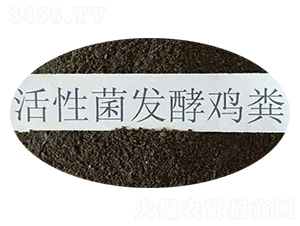 ���Ծ��l(f��)���u��-혳��ЙC��