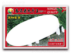 �����ϾŽ���-�}���N��-�r(n��ng)֮��