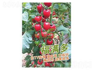 ���M��-���ҷ��ѷN��-��ػݝ�