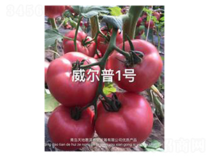 ������1̖-�۹����ѷN��-��ػݝ�