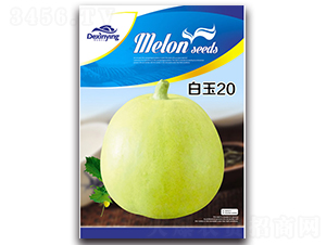 ����20-��ϷN��-����ӯ�r(n��ng)�I(y��)