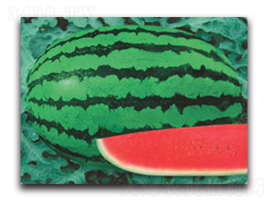 �޿���̖-���ϷN��-����ӯ�r(n��ng)�I(y��)