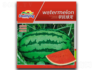 �翹�G��-���ϷN��-����ӯ�r(n��ng)�I(y��)