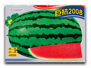 �޿�2008-���ϷN��-����ӯ�r(n��ng)�I(y��)