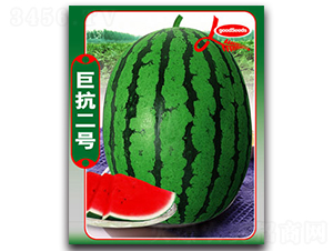 �޿���̖-���ϷN��-����ӯ�r(n��ng)�I(y��)