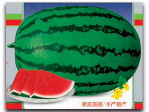 �޿���̖-���ϷN��-����ӯ�r(n��ng)�I(y��)