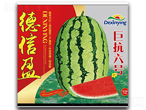 �޿���̖-���ϷN��-����ӯ�r(n��ng)�I(y��)