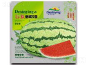 �tư���5̖-���ϷN��-����ӯ�r(n��ng)�I(y��)