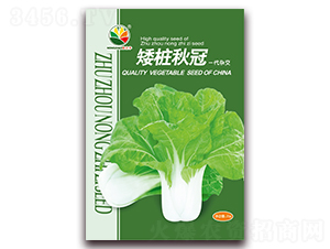 �������-�ײ˷N��-�r(n��ng)֮��