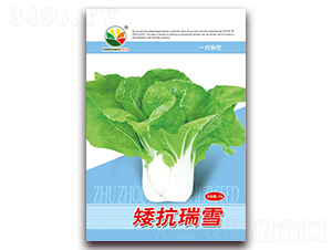 ������ѩ-�ײ˷N��-�r(n��ng)֮��