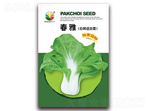 ����-�װ��t�ײ˷N��-�r֮��