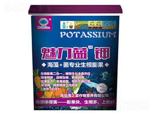 �����{(l��n)�-��֮�{(l��n)