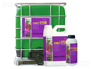 ������֬12Ԫ��-��Ԫ�ǌ�(sh��)�I(y��)