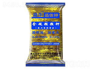 �����w���-��ţ-����