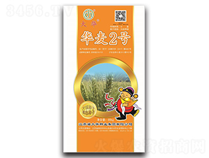 �A��2̖(h��o)-С���N��-���A�N�I(y��)