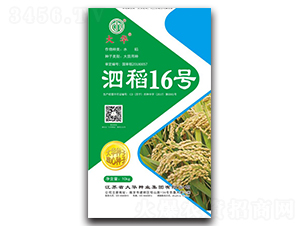 ����16̖(h��o)-ˮ���N��-���A�N�I(y��)