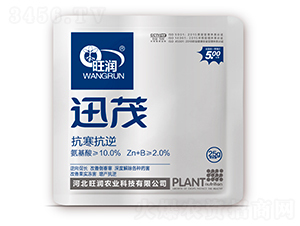 Ӎï���������棩-����(r��n)