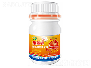 ̼���-�W�׵�˹