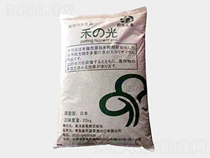 �������-�̹�-�Z������