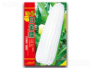 �׽�Ŵ-Ŵ���׷N��-���ǷN�I(y��)