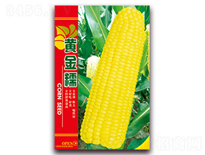 �S��Ŵ-Ŵ���׷N��-���ǷN�I(y��)