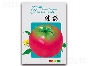 ����-���t���N��-���ǷN�I(y��)