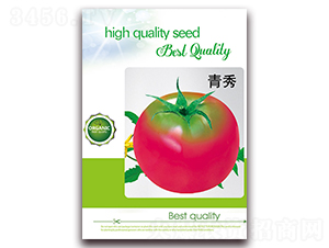 ����-���t���N��-���ǷN�I(y��)