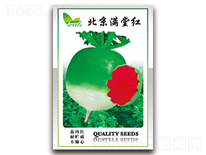 �����M�üt-�}���N��-���ǷN�I(y��)