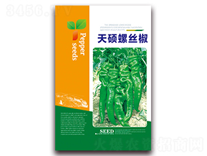 ��T�ݽz��-�����N��-���ǷN�I(y��)