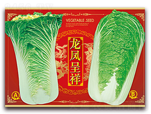 ���P����-�ײ˷N��-���ǷN�I(y��)