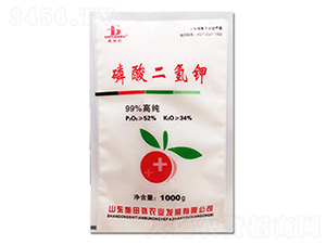 ��������-���o(h��)����