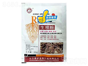 ������-���o(h��)����