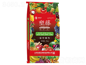 ����ֲ��ˮ�ܷ���-����-���\����