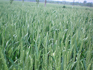 ����608-С���N��-�S���N�I(y��)