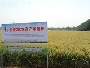 ����207-С���N��-�S���N�I(y��)