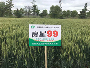 ����99-С���N��-�S���N�I(y��)