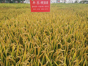 �S����88-ˮ���N��-�S���N�I(y��)