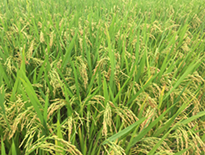 ��Ŵ5̖-ˮ���N��-�S���N�I(y��)