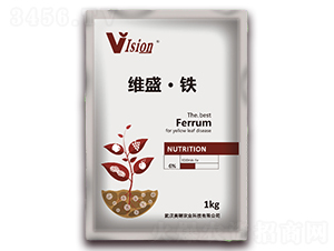 �Sʢ���F-��h����