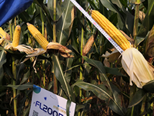 �S��(l��)2059-���׷N��-�S��(l��)�N�I(y��)