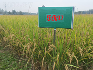 ��(l��)��(y��u)97-ˮ���N��-�S��(l��)�N�I(y��)